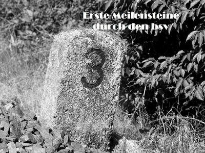 Erste Meilensteine durch den bsv Erste Meilensteine durch den bsv